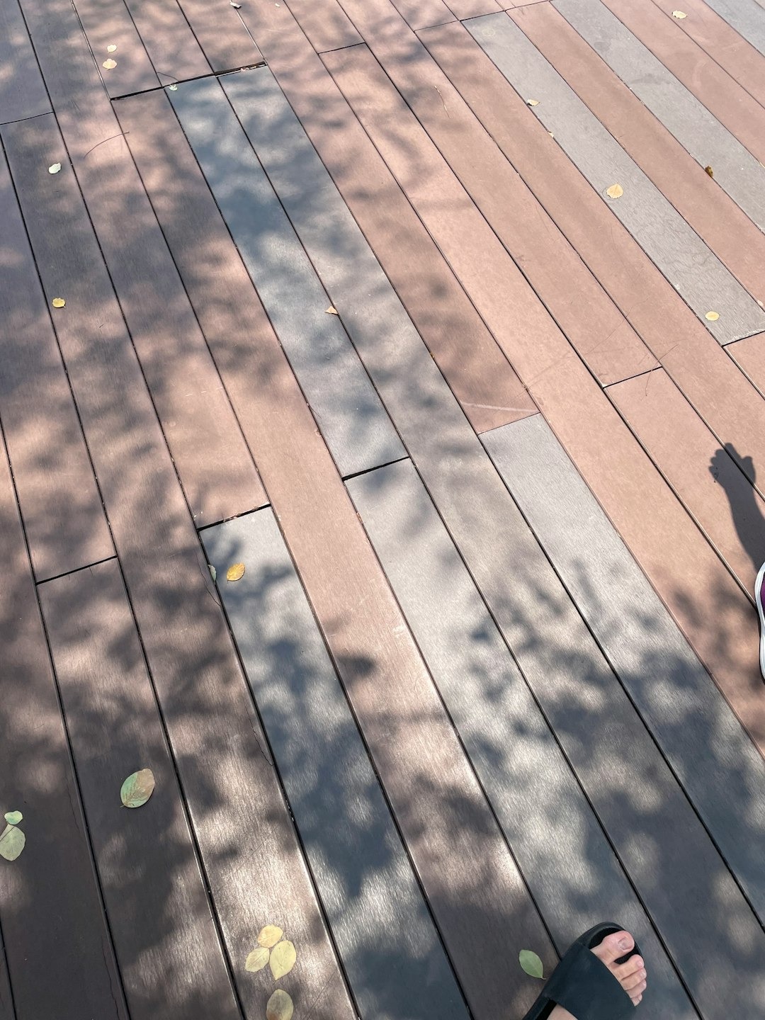 Two people standing on a wooden deck scattered with leaves.